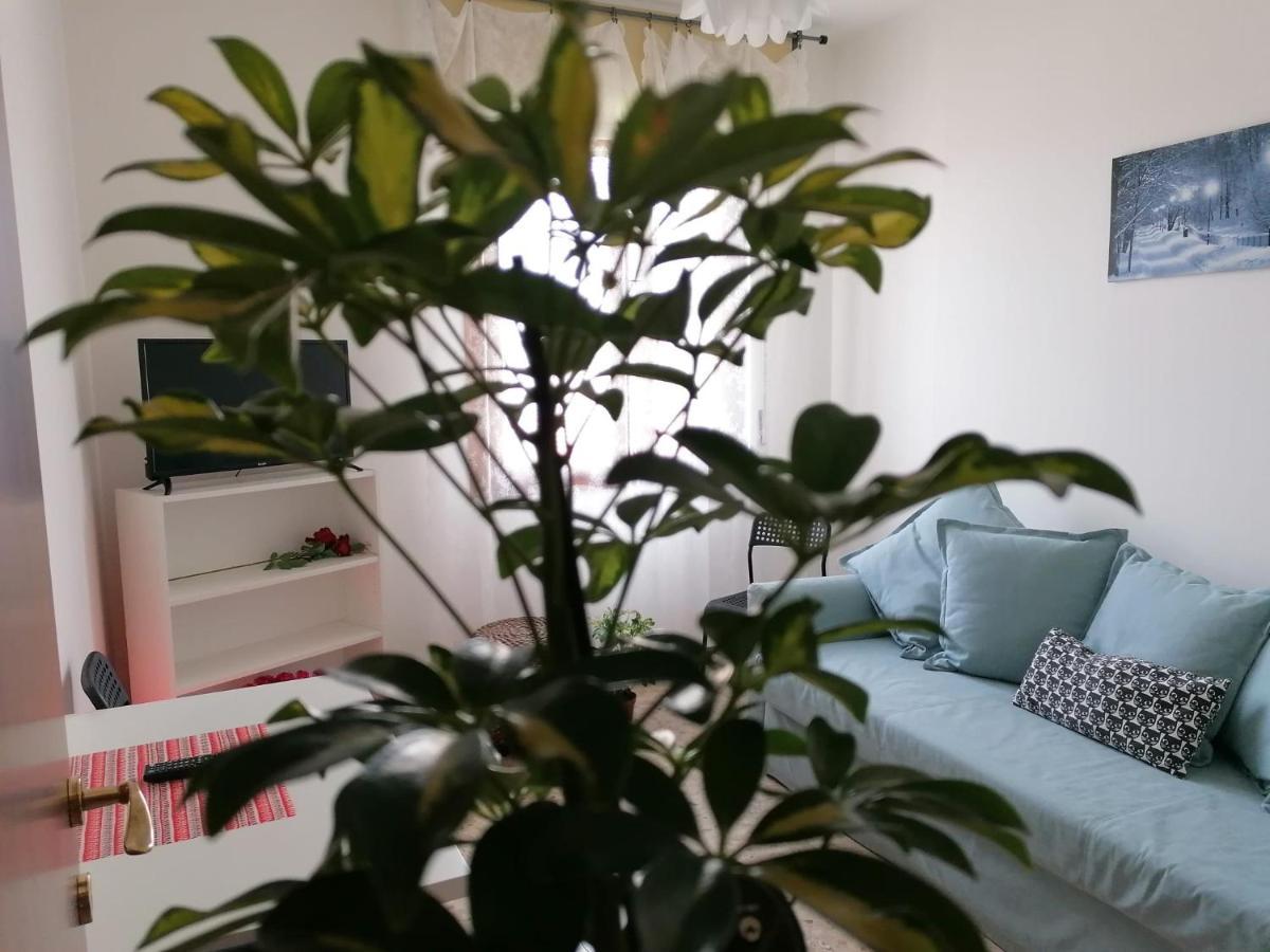 Giuseppe House Apartman Pisa Kültér fotó