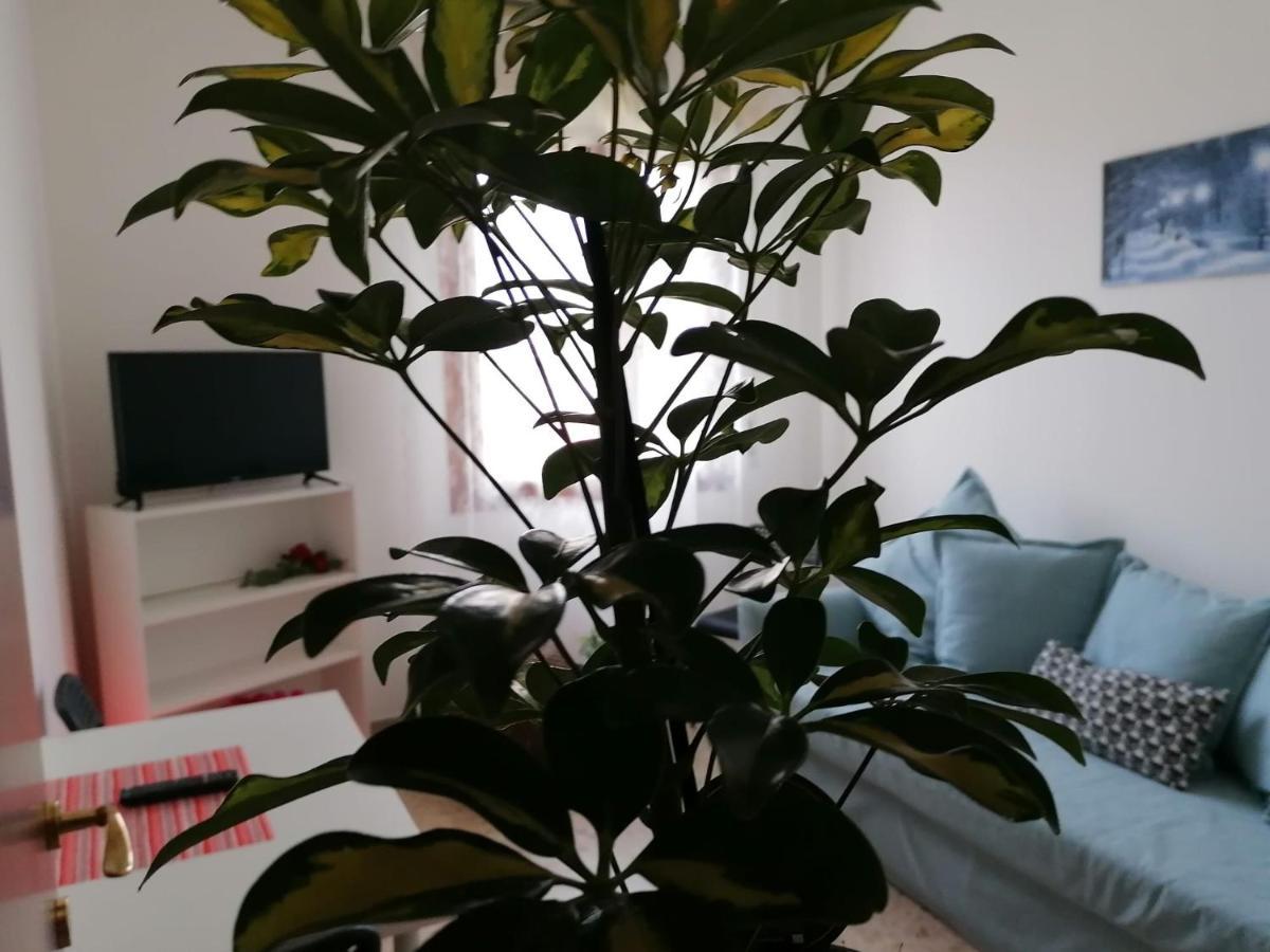 Giuseppe House Apartman Pisa Kültér fotó